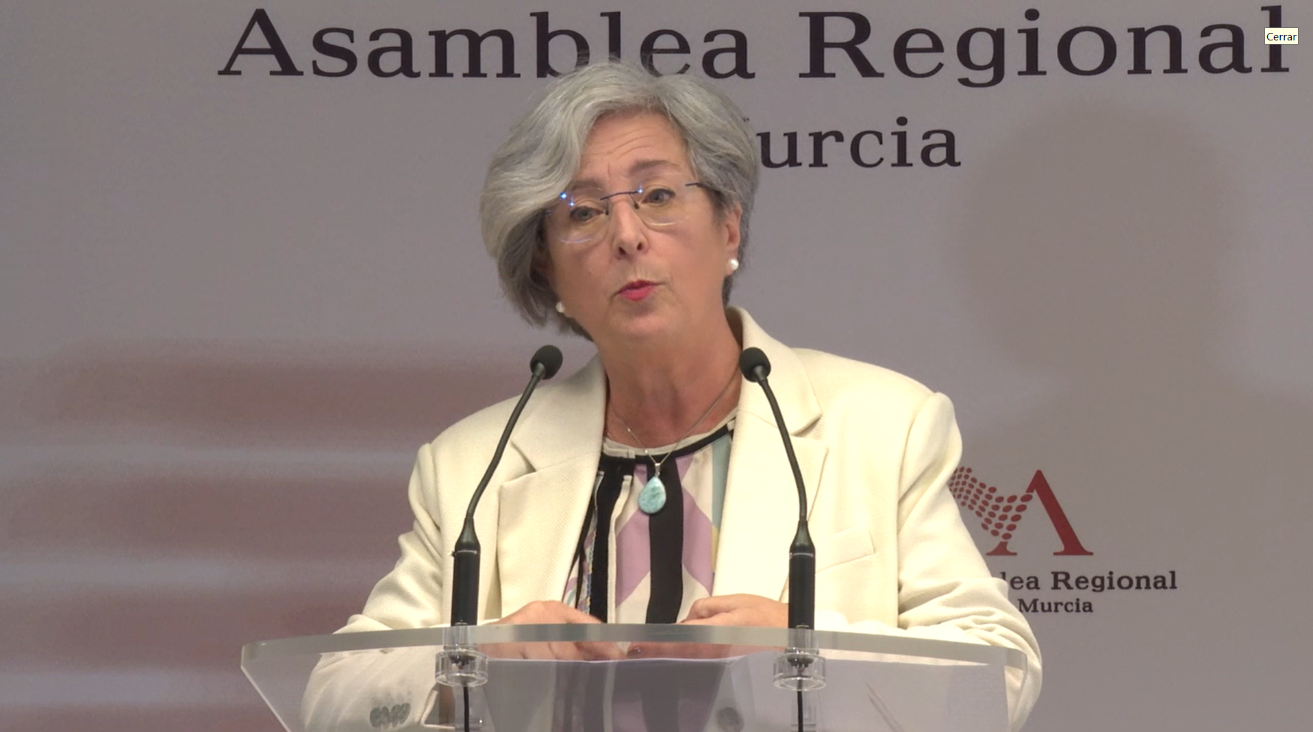 Rueda de prensa tras la Comisión Especial de Estudio sobre el Pequeño Comercio en la Región de Murcia